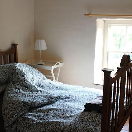 לאנדוברי Relaxing Pet Friendly 2-Bed Cottage In Rhandirmwyn מראה חיצוני תמונה