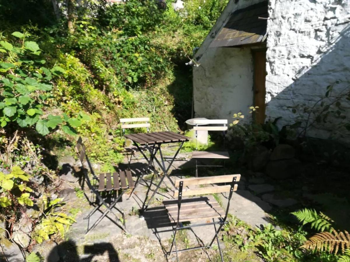 לאנדוברי Relaxing Pet Friendly 2-Bed Cottage In Rhandirmwyn מראה חיצוני תמונה