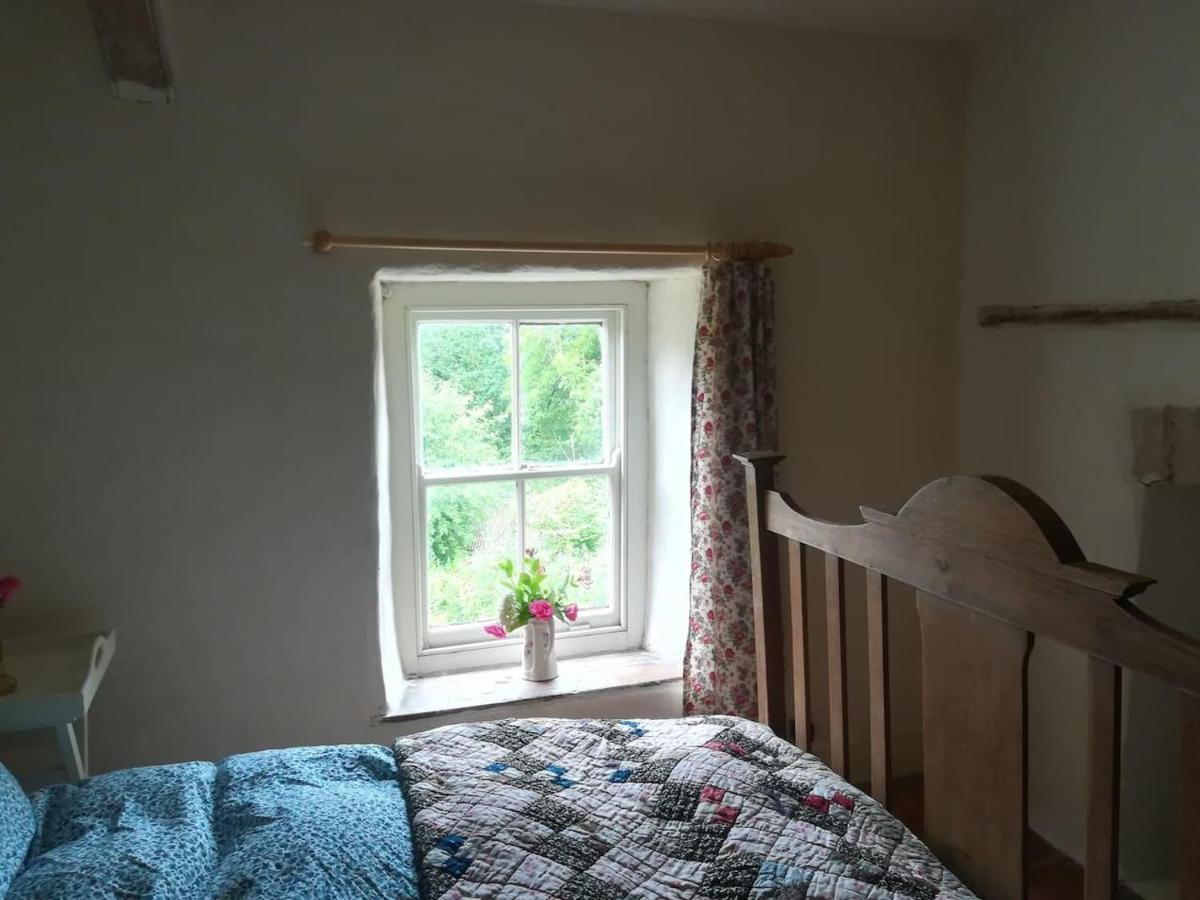 לאנדוברי Relaxing Pet Friendly 2-Bed Cottage In Rhandirmwyn מראה חיצוני תמונה